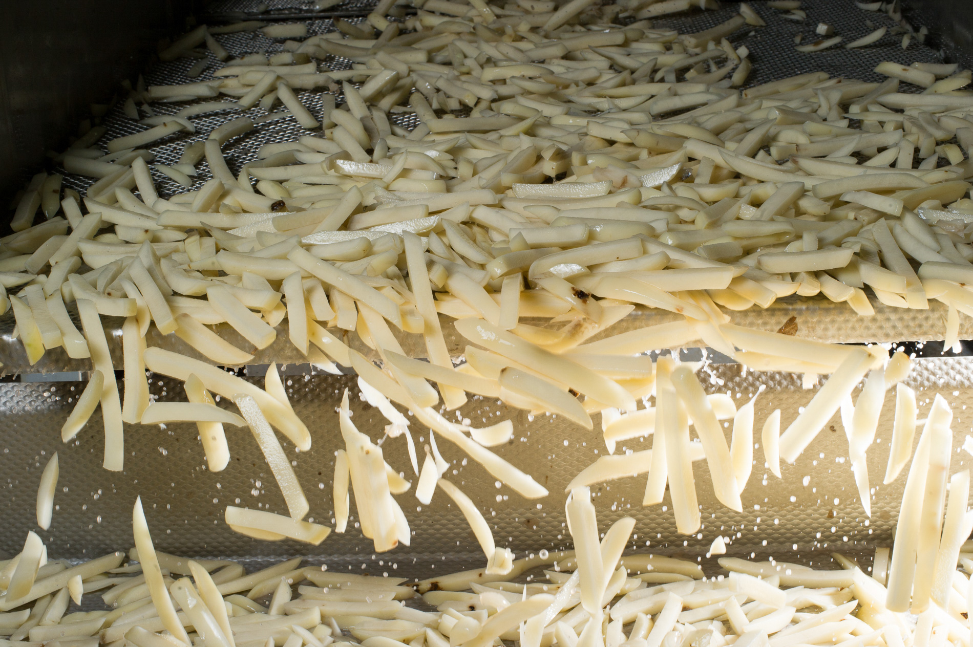 French Fry Processing Plant