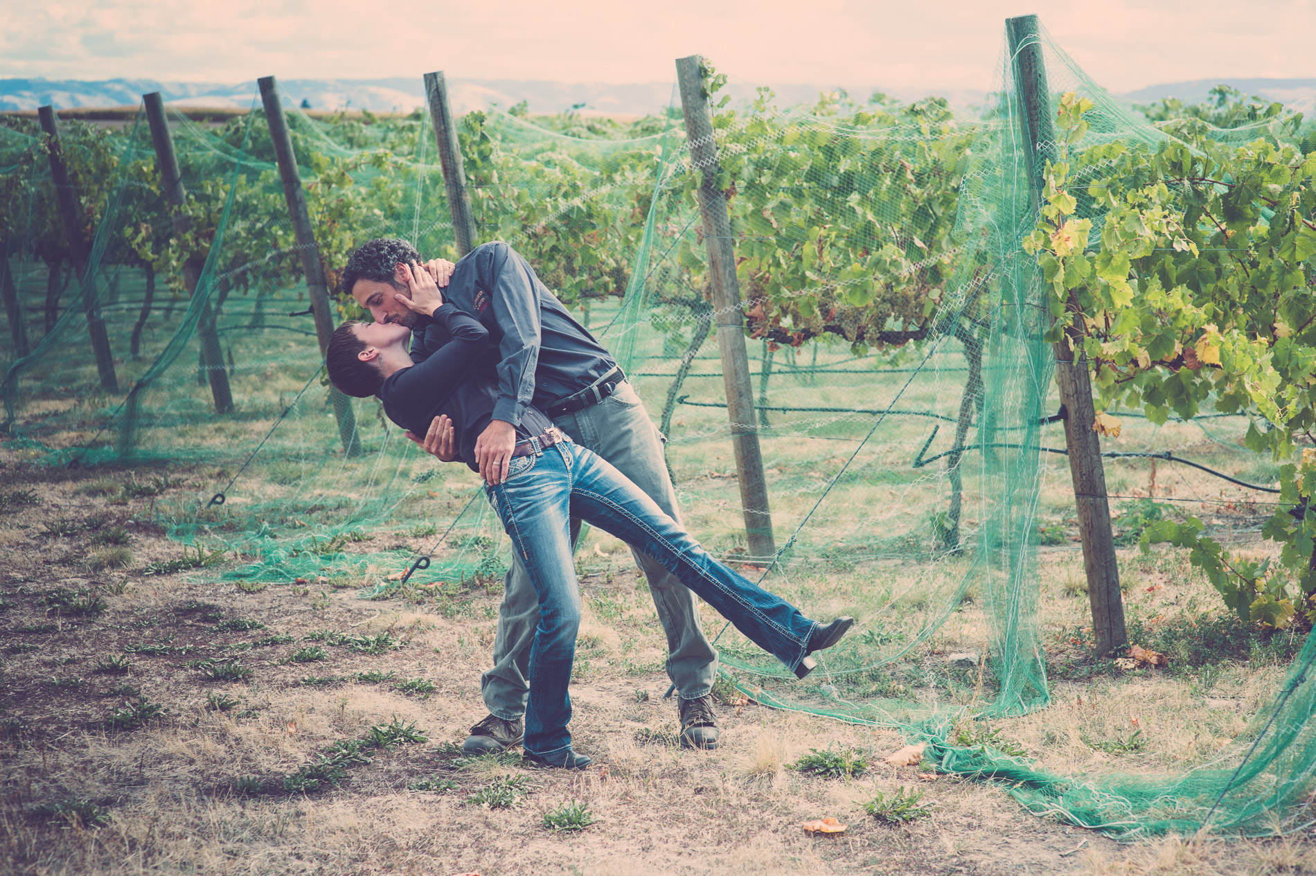 Love in a Vineyard