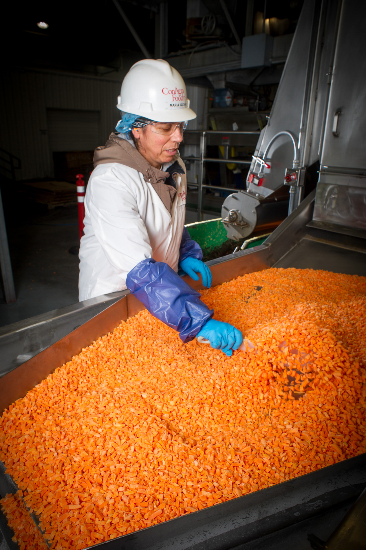 Carrot Processing