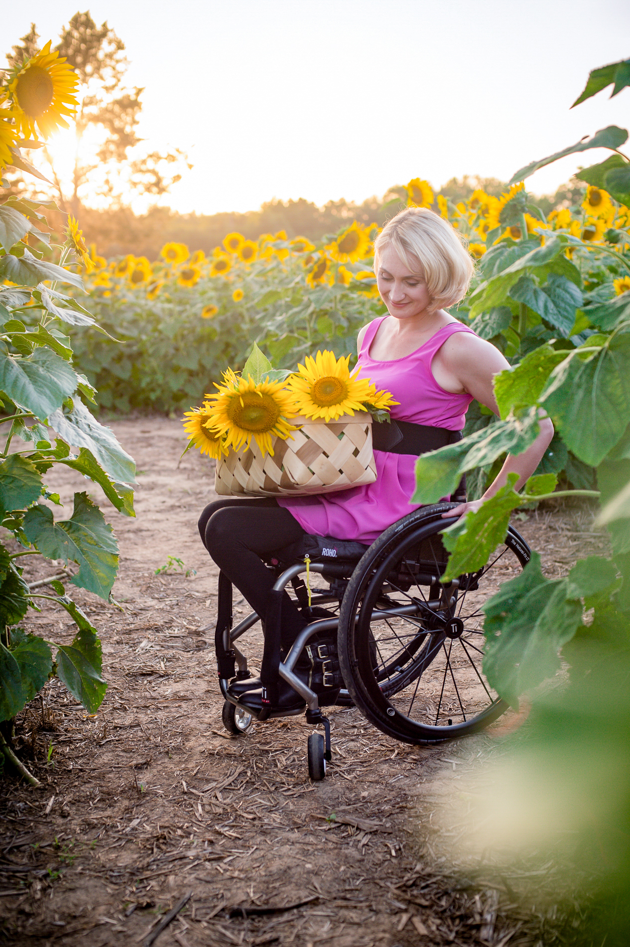 Wheelchair in the Sunflowers